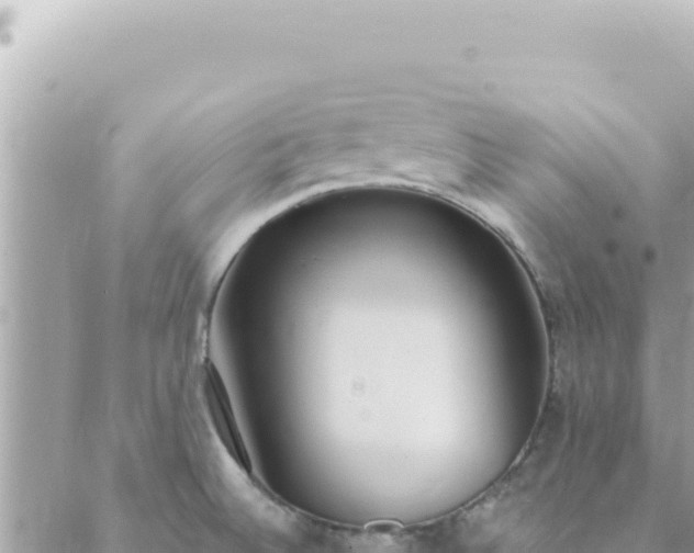 X0000088611524200706011215