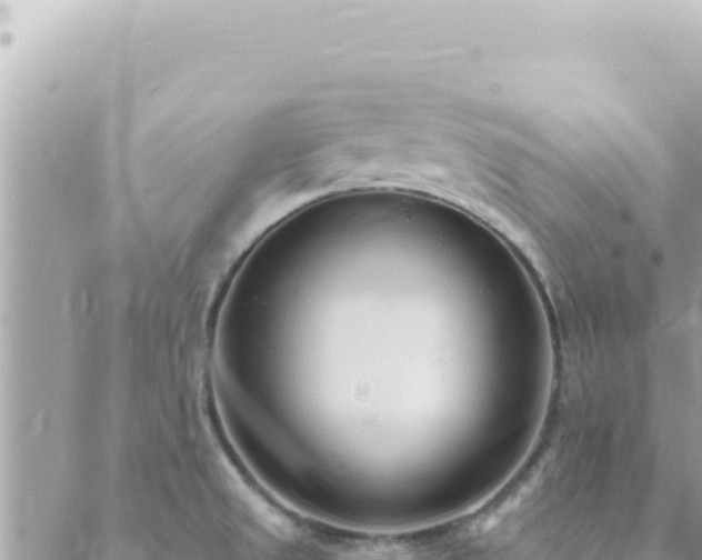 X0000088611525200706011215