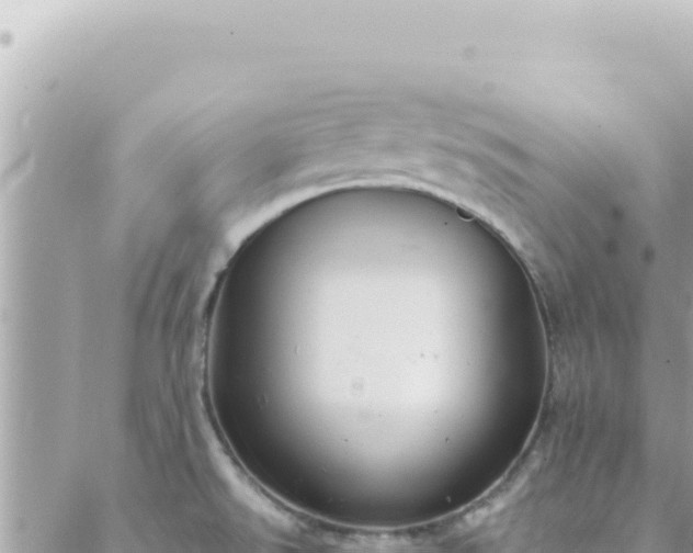 X0000088611526200706011215