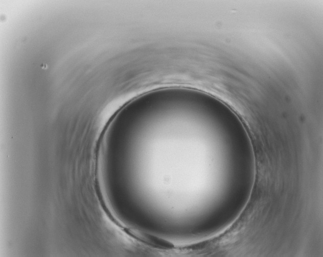 X0000088611527200706011215