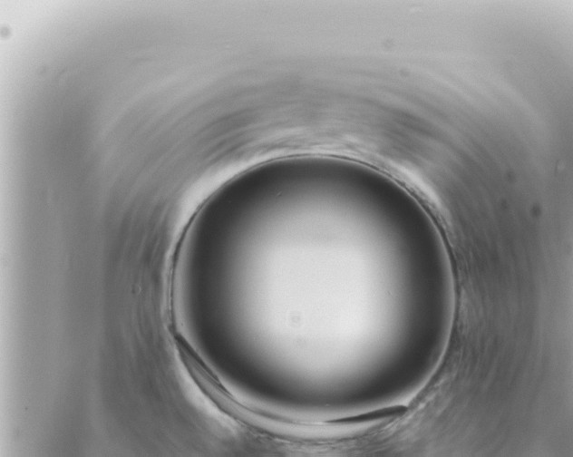 X0000088611528200706011215