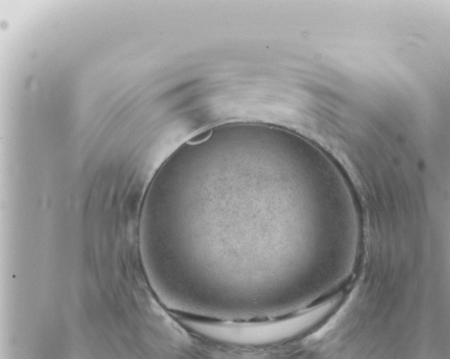 X0000088611529200706011215