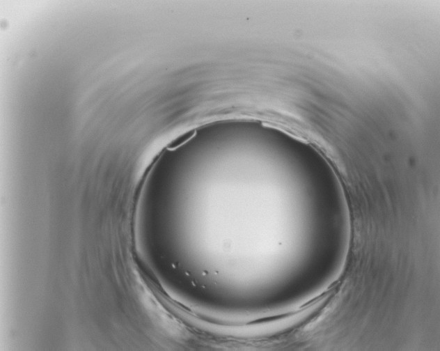 X0000088611530200706011215