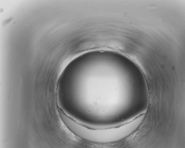 X0000088611532200706011215