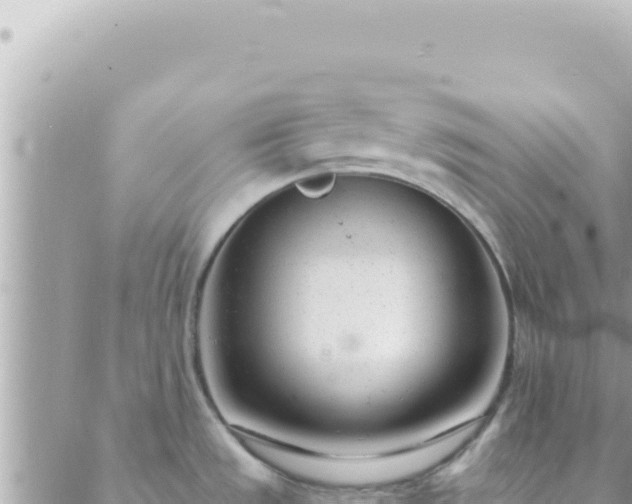 X0000088611533200706011215