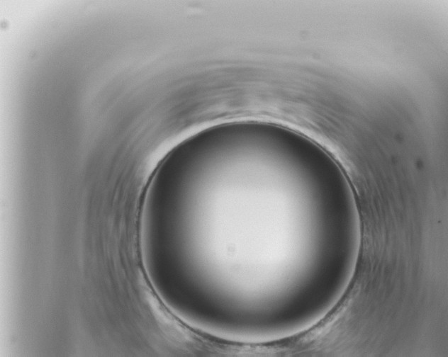 X0000088611534200706011215