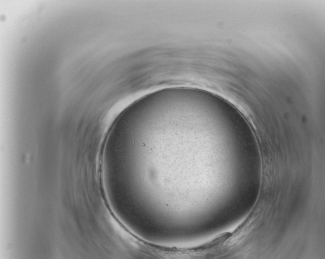 X0000088611535200706011215