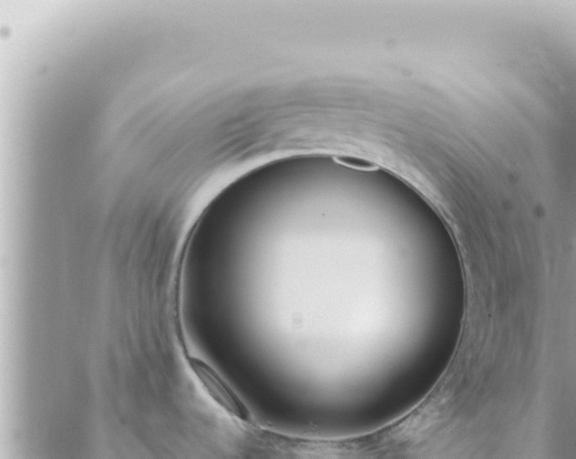 X0000088611536200706011215