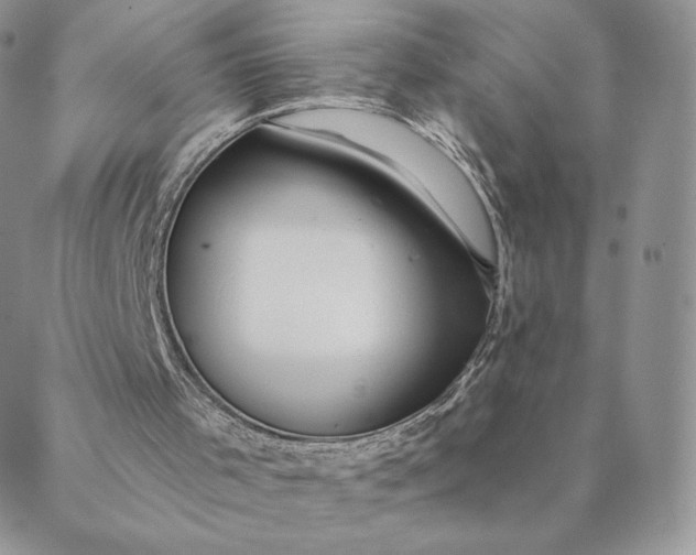 X0000088610001200706081446