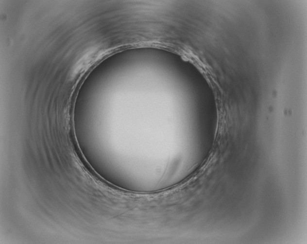 X0000088610002200706081446