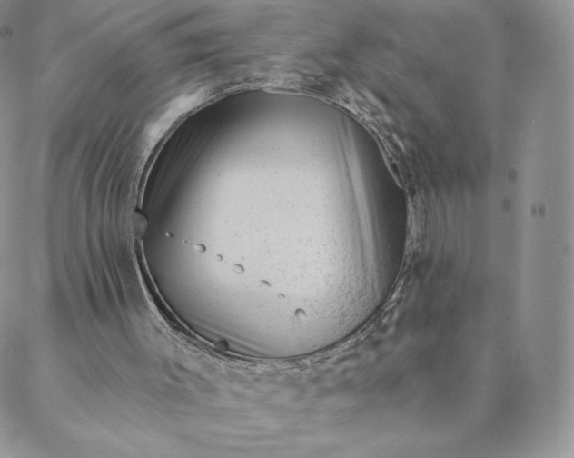 X0000088610003200706081446