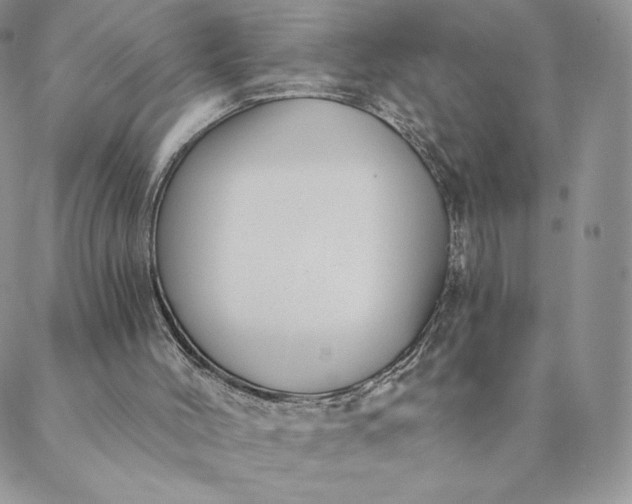 X0000088610004200706081446