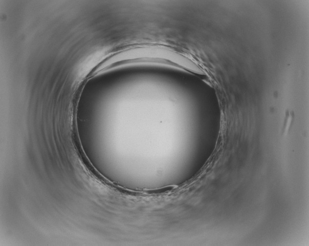 X0000088610005200706081446