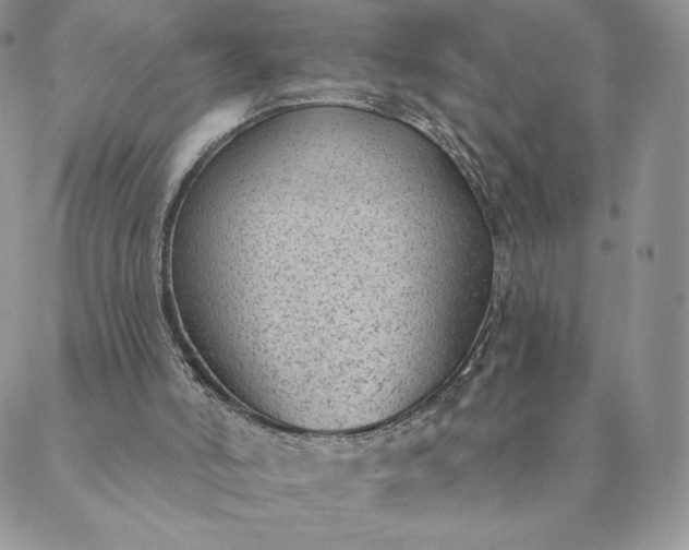 X0000088610006200706081446