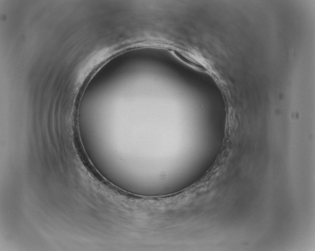 X0000088610007200706081446