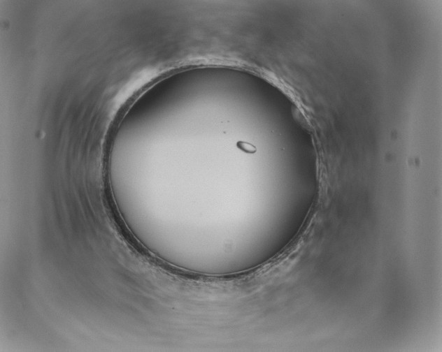 X0000088610008200706081446