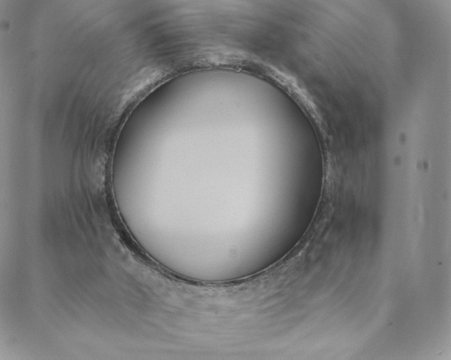 X0000088610010200706081445