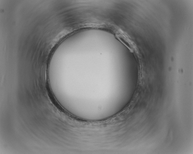 X0000088610011200706081445