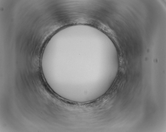 X0000088610012200706081445