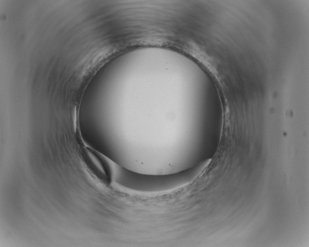 X0000088610013200706081445