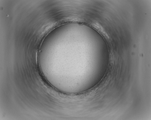 X0000088610014200706081445