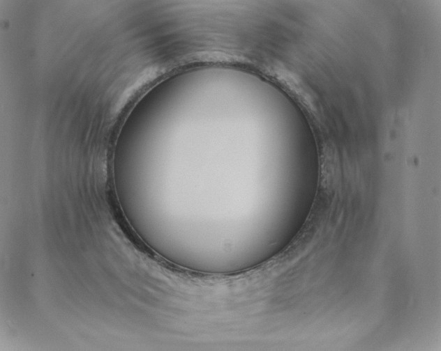 X0000088610015200706081445