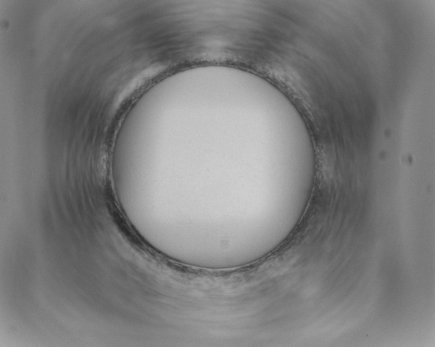 X0000088610016200706081445