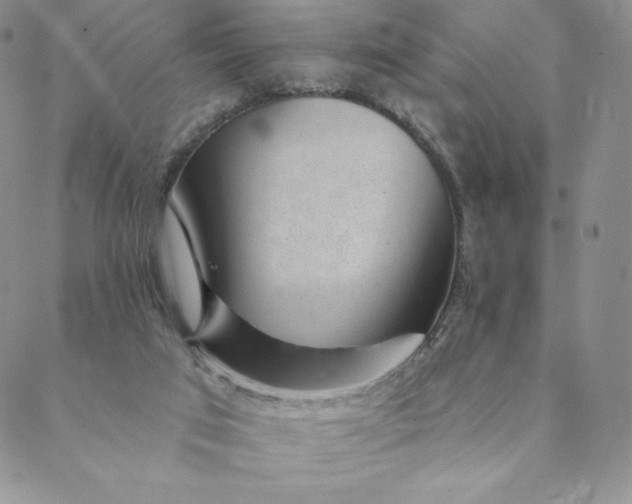 X0000088610017200706081445