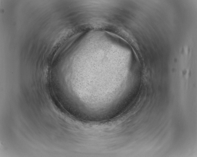 X0000088610018200706081445