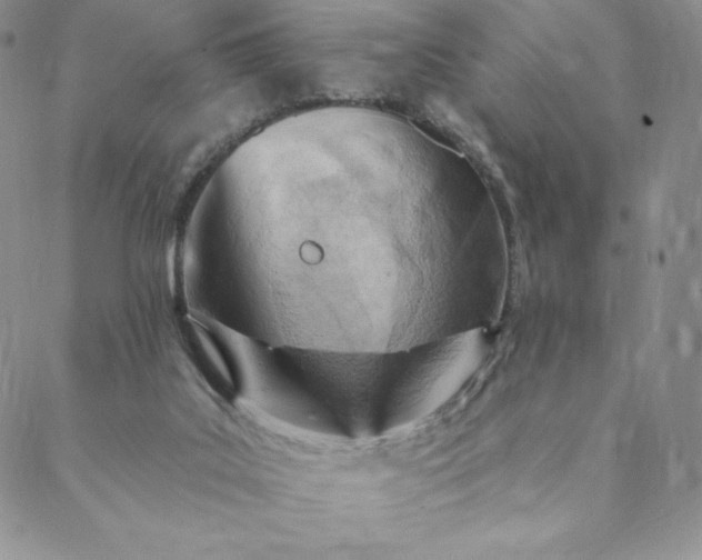 X0000088610019200706081445