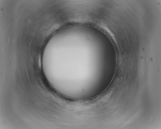 X0000088610020200706081445