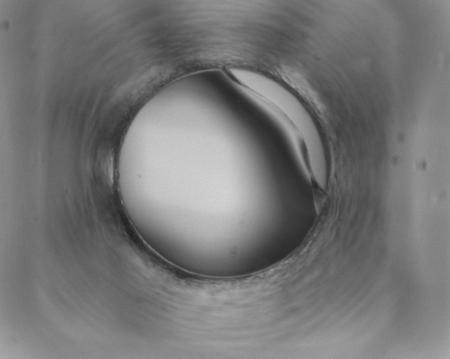 X0000088610021200706081445