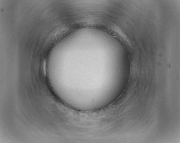 X0000088610022200706081445