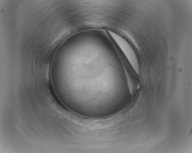 X0000088610023200706081445