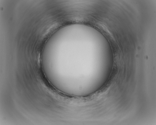 X0000088610024200706081445