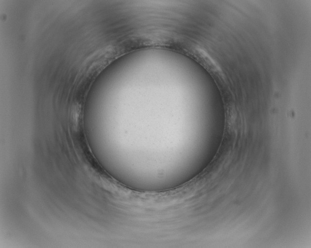 X0000088610026200706081445