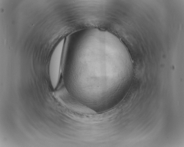 X0000088610027200706081445