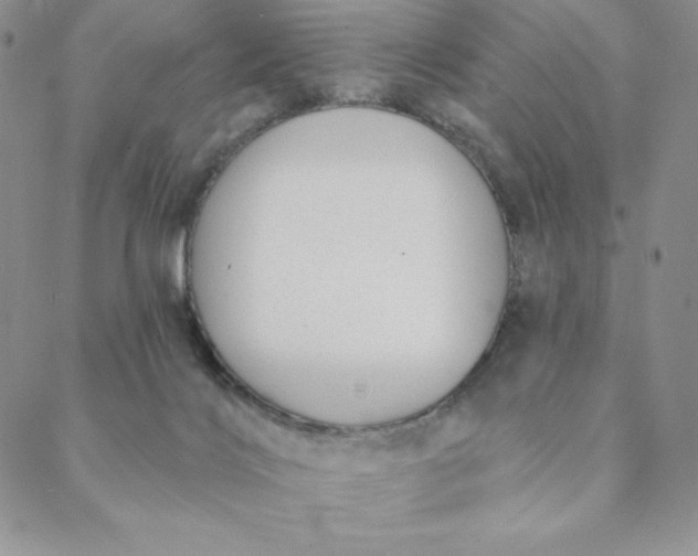 X0000088610028200706081445