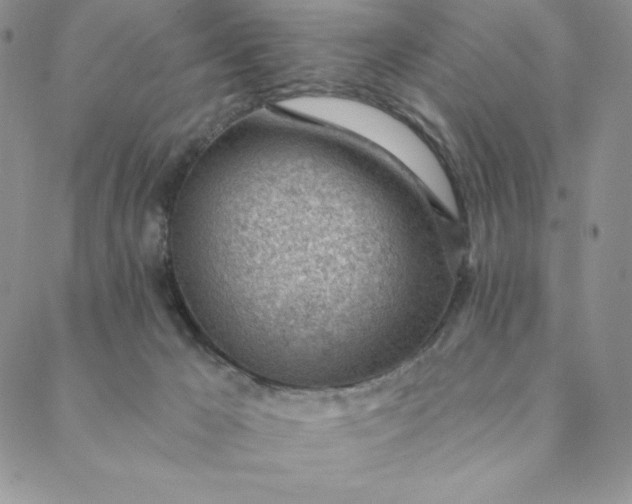 X0000088610029200706081445