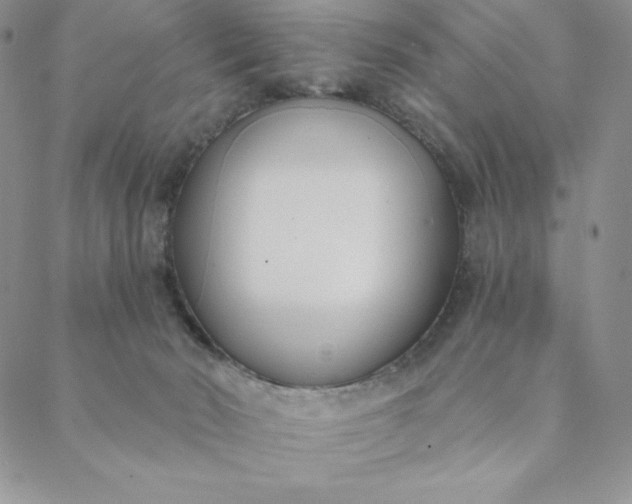 X0000088610030200706081445