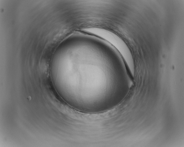 X0000088610031200706081445