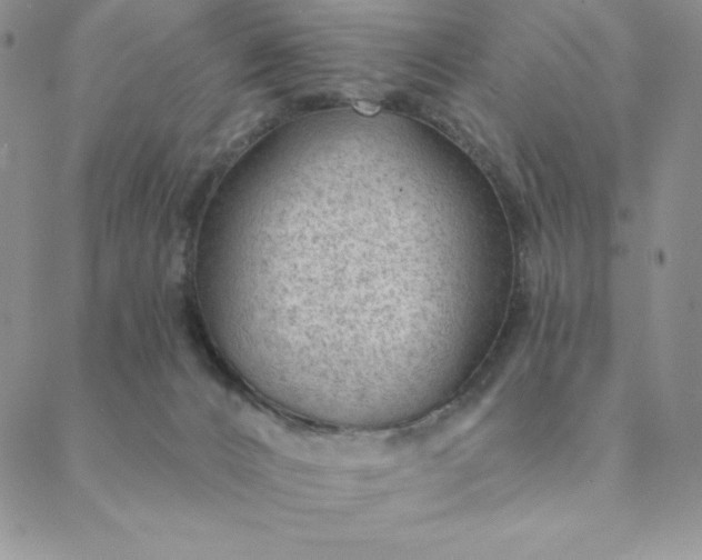 X0000088610032200706081445