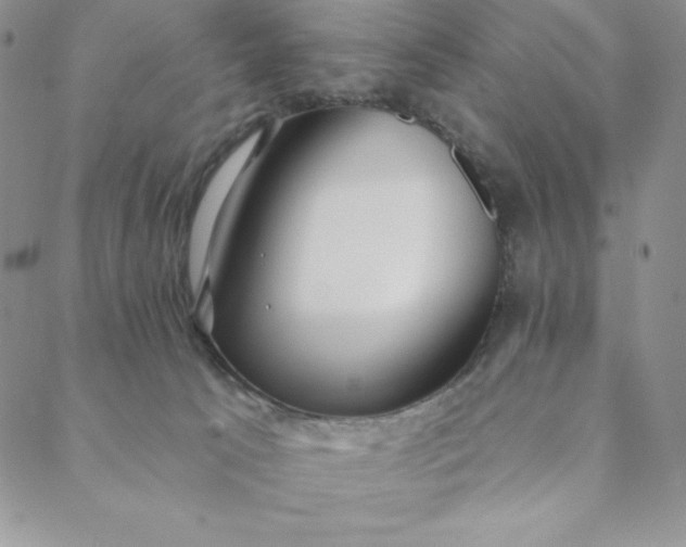 X0000088610033200706081445