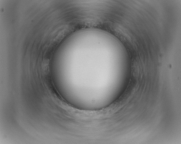 X0000088610034200706081445