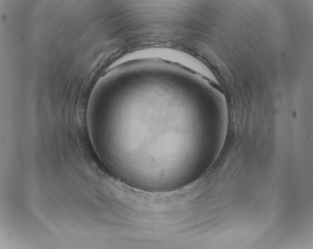 X0000088610035200706081445