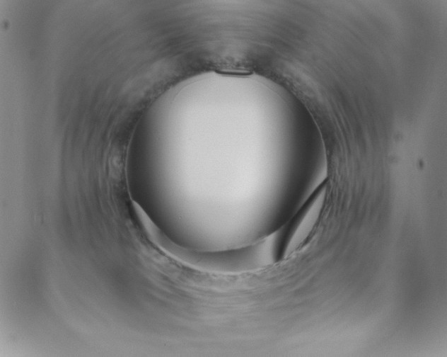 X0000088610037200706081445