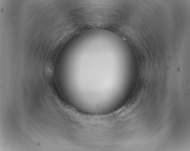 X0000088610040200706081445