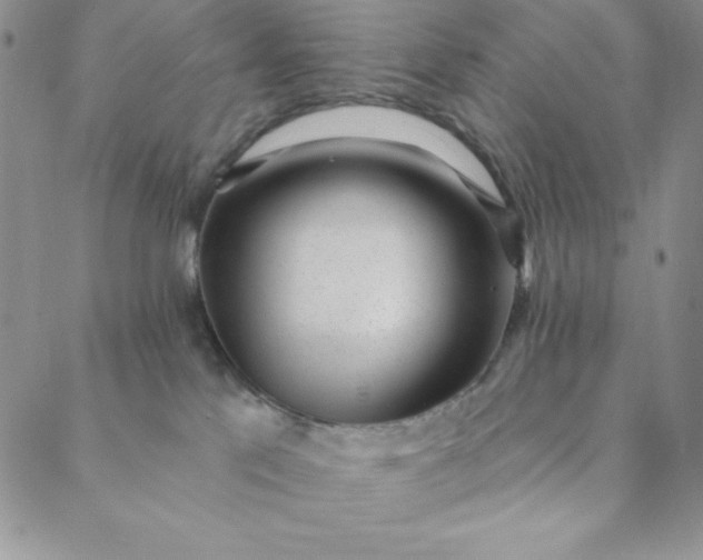 X0000088610041200706081445