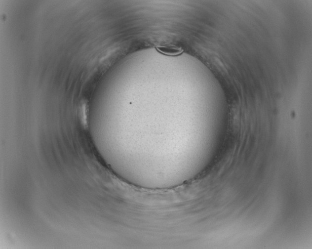 X0000088610042200706081445