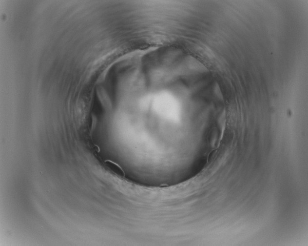 X0000088610043200706081445